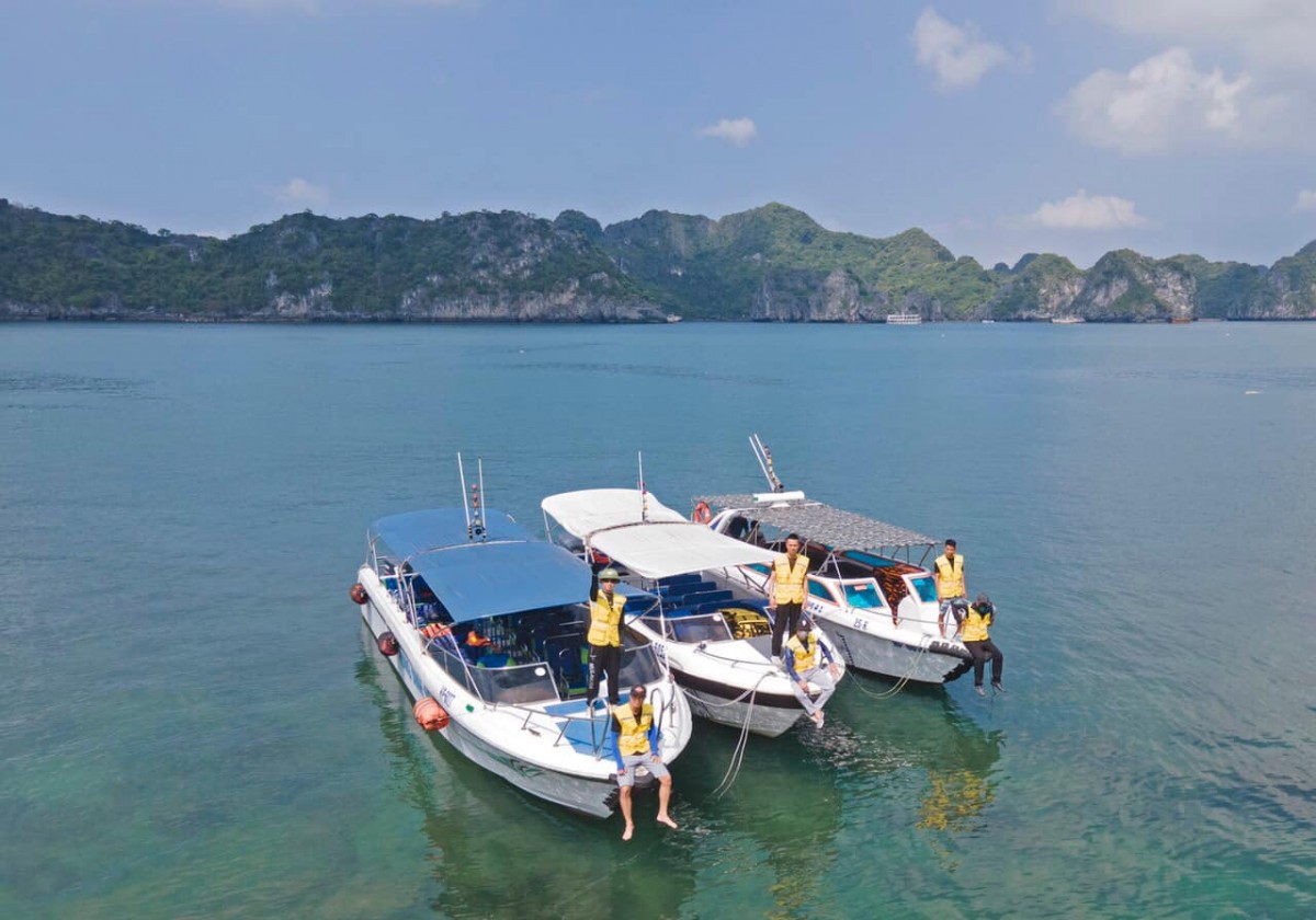 Cho thuê Cano tham quan Lan Hạ Cát bà